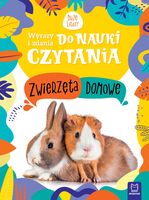 Zwierzęta Domowe. Wyrazy I Zdania Do Nauki Czytania. Duże Litery