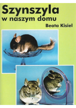 Szynszyla W Naszym Domu