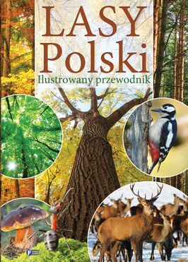 Lasy Polski Ilustrowany Przewodnik