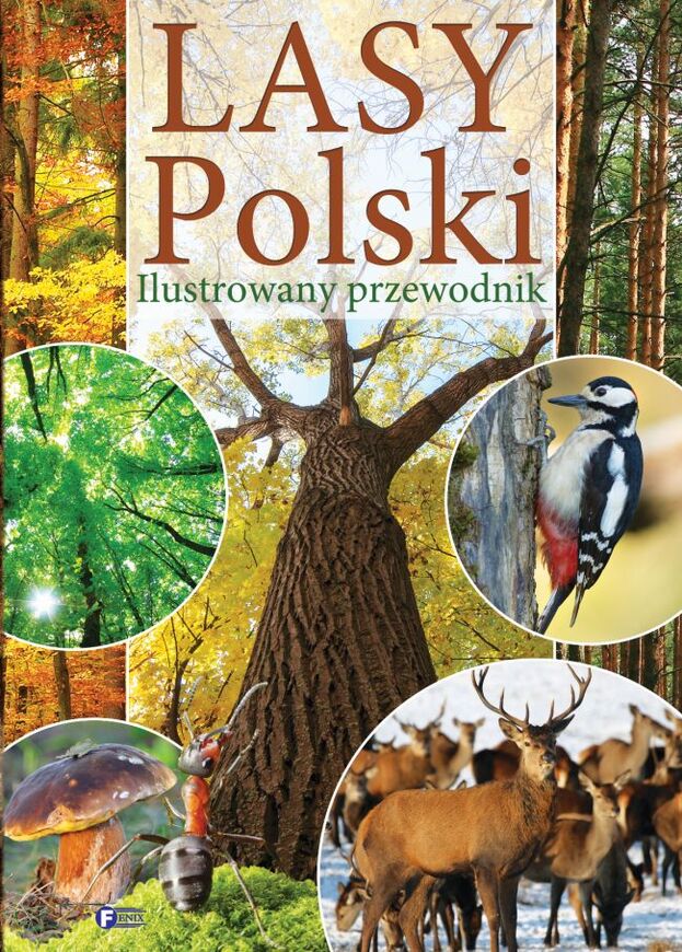 Lasy Polski Ilustrowany Przewodnik