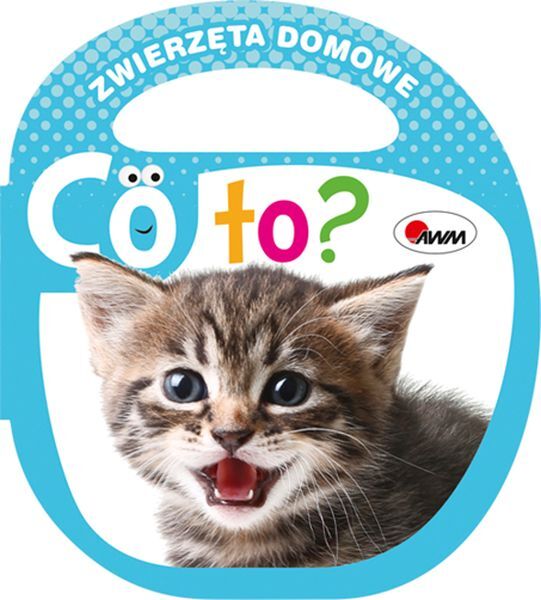 Zwierzęta Domowe Co To