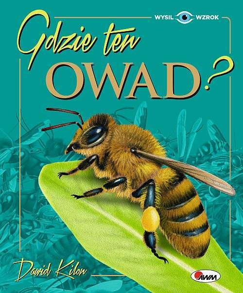 Gdzie Ten Owad? Wysil Wzrok