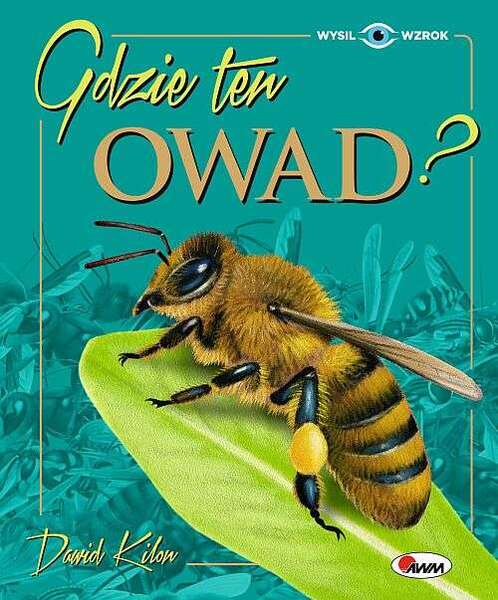 Gdzie Ten Owad? Wysil Wzrok
