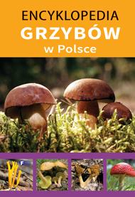 Encyklopedia Grzybów W Polsce