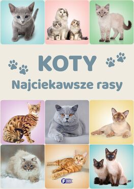 Koty. Najciekawsze Rasy