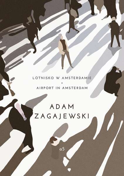 Lotnisko W Amsterdamie Airport In Amsterdam