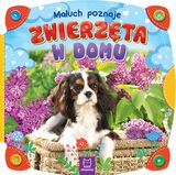 Maluch Poznaje Zwierzęta W Domu