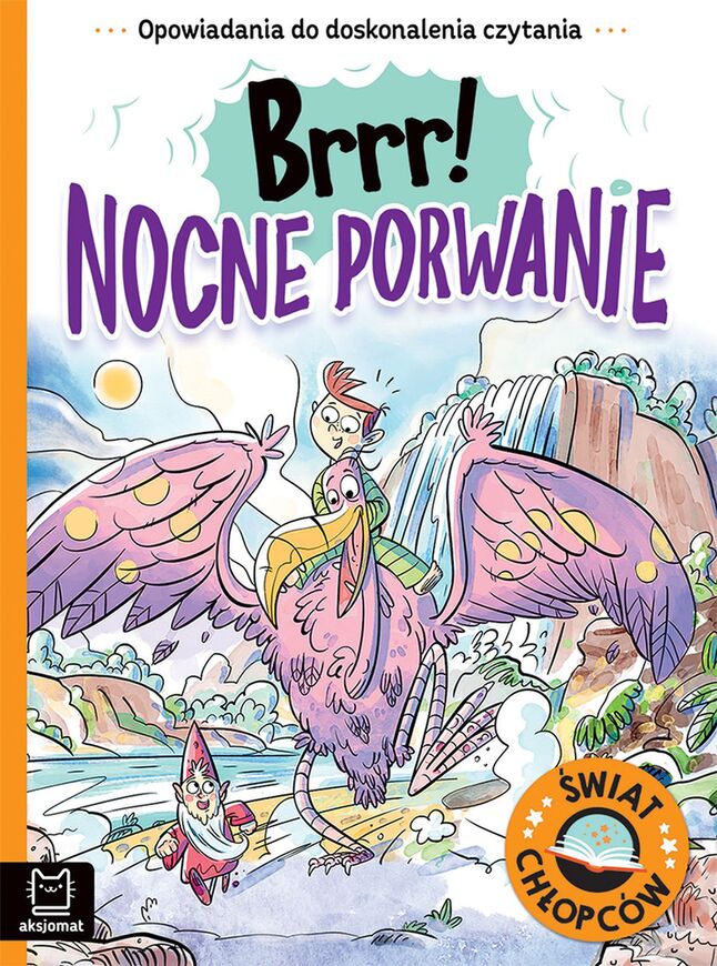 Brrr! Nocne Porwanie. Opowiadania Do Doskonalenia Czytania. świat Chłopców
