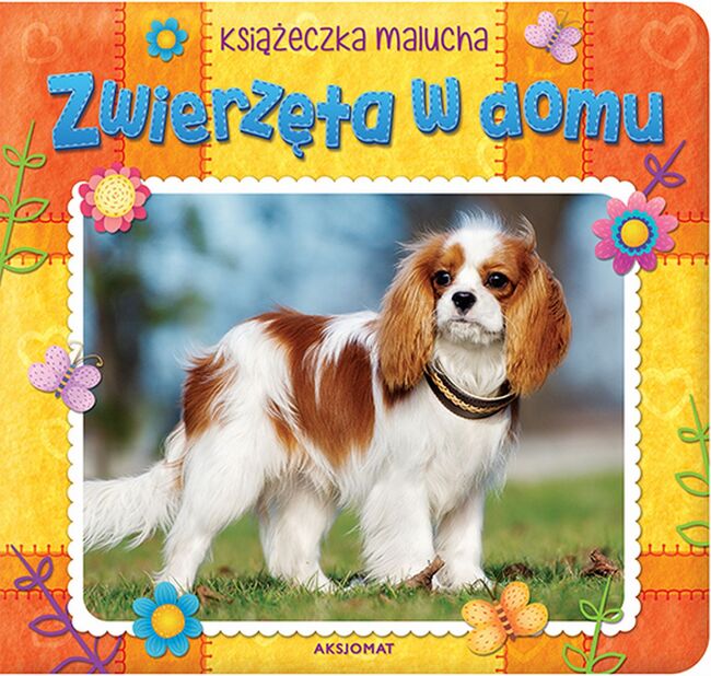 Zwierzęta W Domu Książeczka Malucha