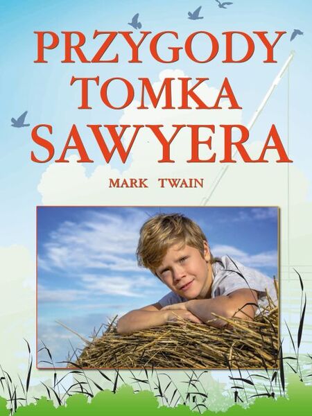 Przygody Tomka Sawyera
