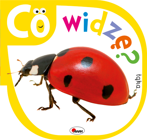 Co Widzę łąka