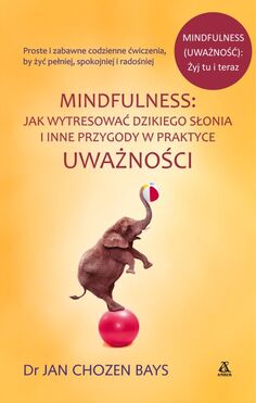 Mindfulness Jak Wytresować Dzikiego Słonia I Inne Przygody W Praktyce Uważności