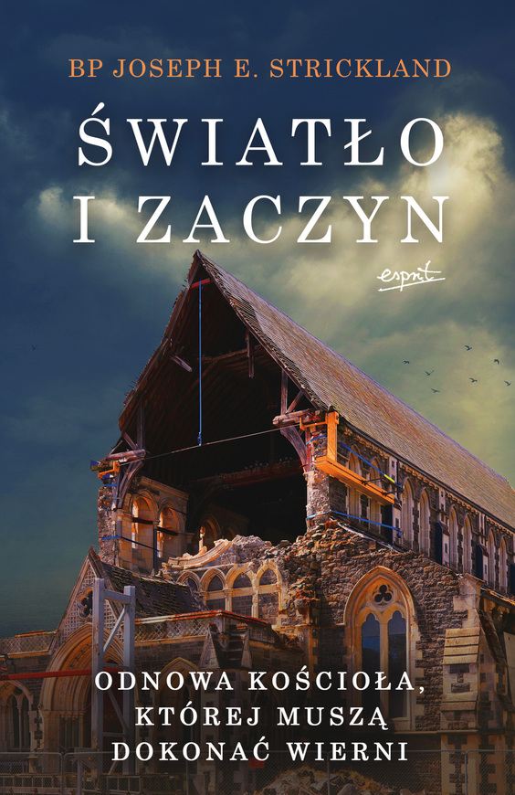 światło I Zaczyn. Odnowa Kościoła, Której Muszą Dokonać Wierni