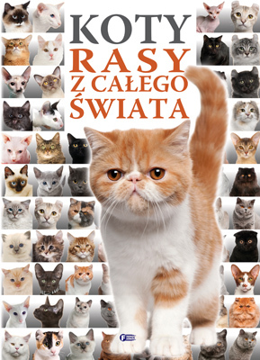 Koty Rasy Z Całego świata