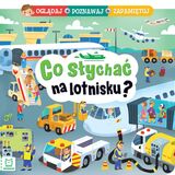 Co Słychać Na Lotnisku? Oglądaj, Poznawaj, Zapamiętuj