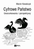 Cyfrowe Państwo Uwarunkowania I Perspektywy