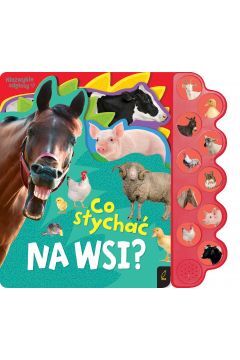 Co słychać na wsi?. Wydawnictwo Wilga