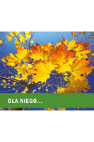 Dla niego